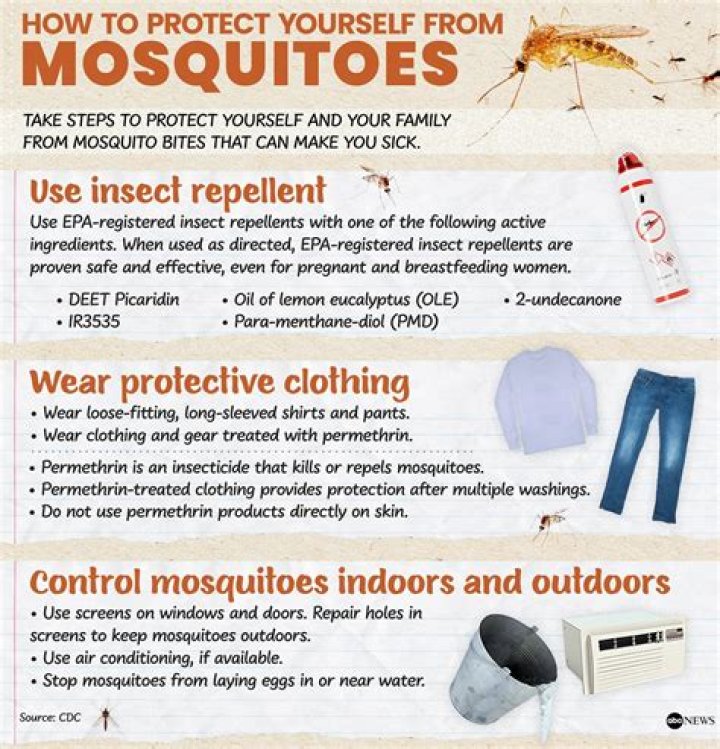 Do buzzing mosquitoes bite?