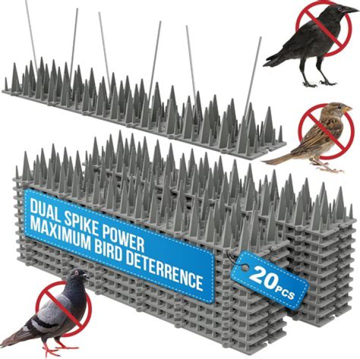 Do clubs work to deter car theft?