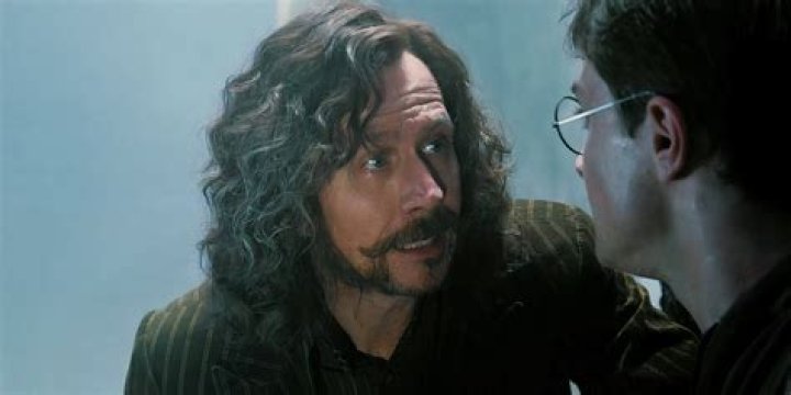 How did Sirius talk to Harry in the fire?