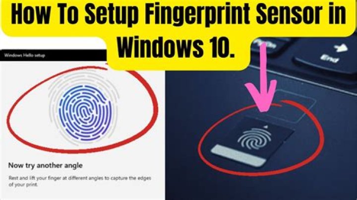How do I enable fingerprint to domain users in Windows 10?