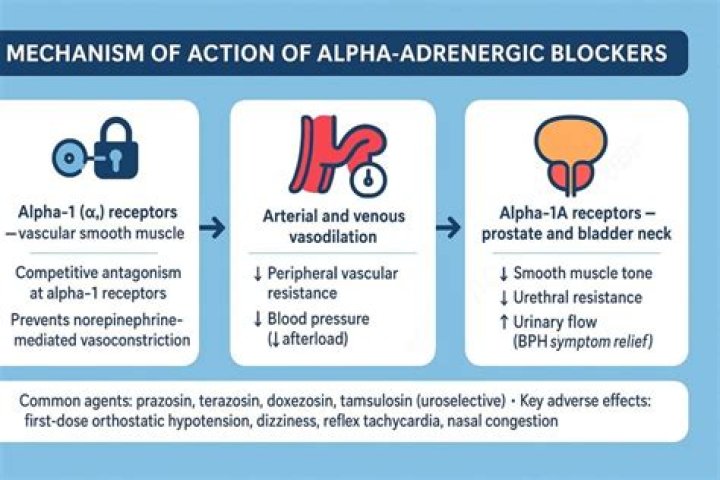 How do you remember alpha and beta blockers?