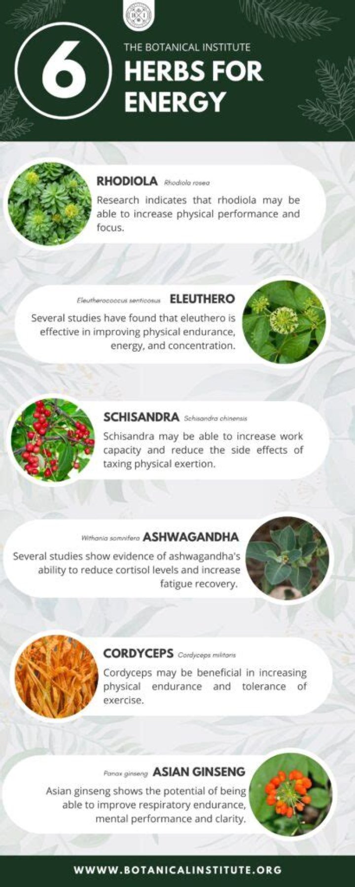What are the 5 best herbs for dementia?