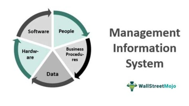 What are the four components of a management information system?