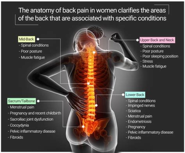 What causes pain in the middle left side of your back?