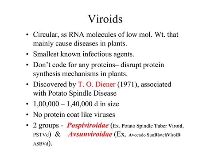 What diseases are caused by Viroids?