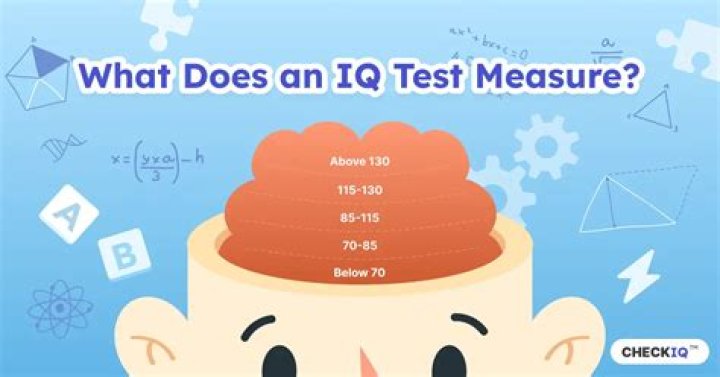 What does a 140 IQ mean?