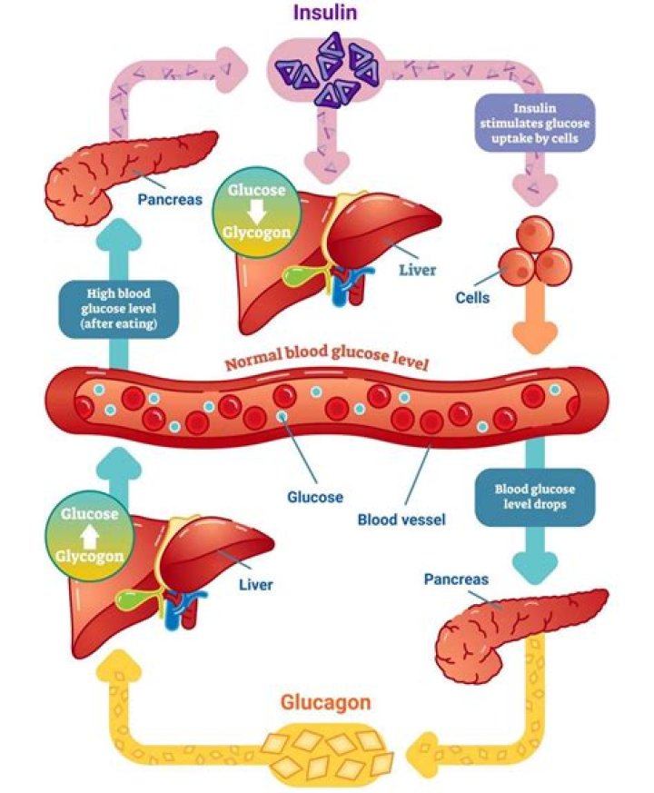 What energy is glucose? | ContextResponse.com