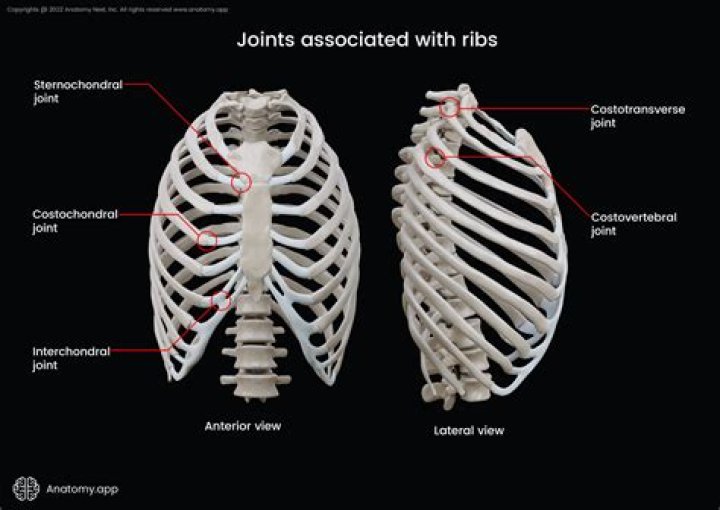 What is the Costochondral Junction?