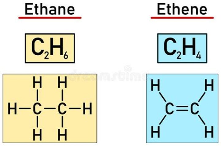 What is the difference between ethane and ethyne?