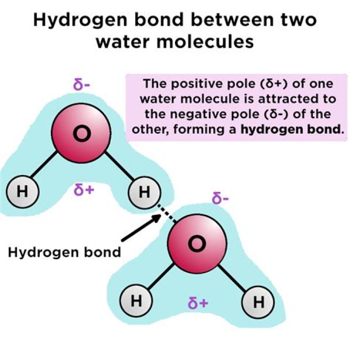 What kind of bond is h2o?