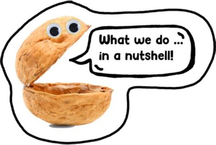 Where did the saying in a nutshell come from?