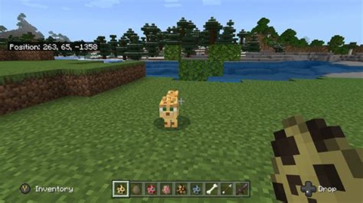 Where do ocelots live in Minecraft?