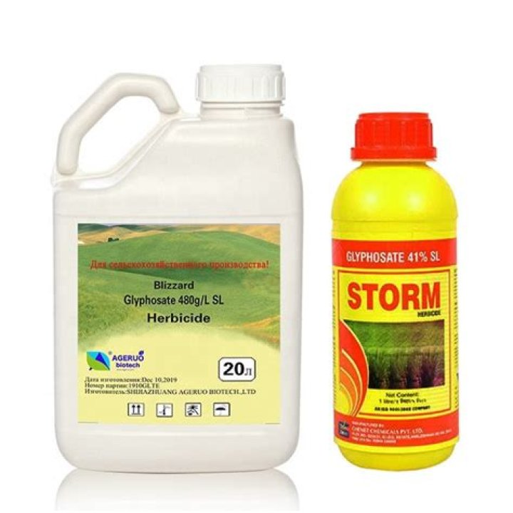 Will triclopyr kill ferns? | ContextResponse.com